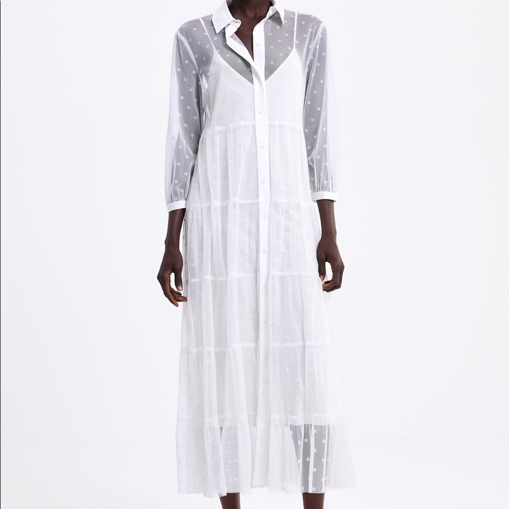 Zara Tulle Polka Dot Dress